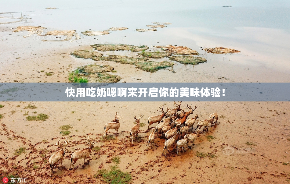 快用吃奶嗯啊来开启你的美味体验！