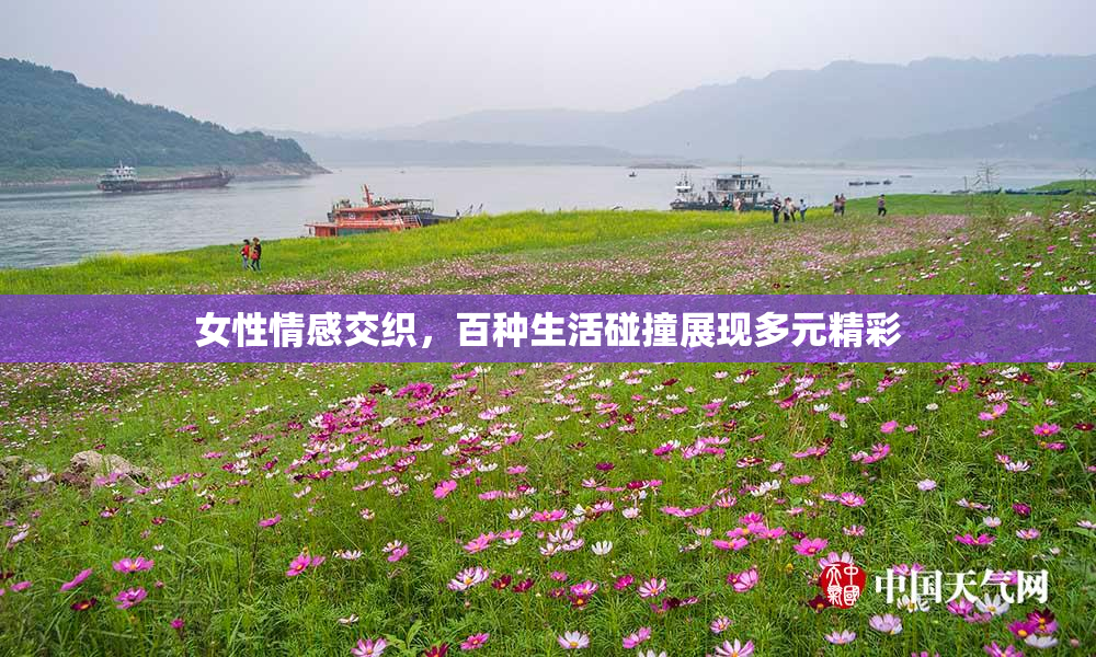 女性情感交织，百种生活碰撞展现多元精彩