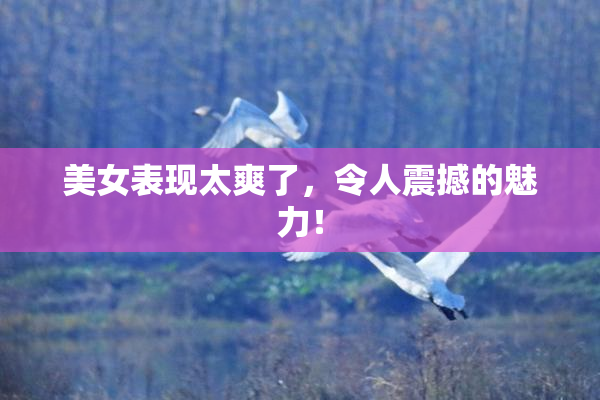 美女表现太爽了，令人震撼的魅力！