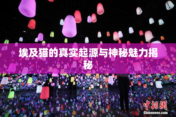 埃及猫的真实起源与神秘魅力揭秘