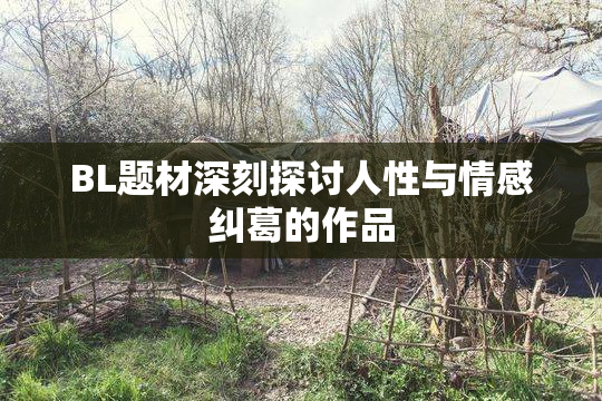 BL题材深刻探讨人性与情感纠葛的作品