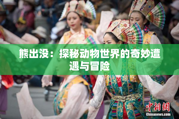 熊出没：探秘动物世界的奇妙遭遇与冒险