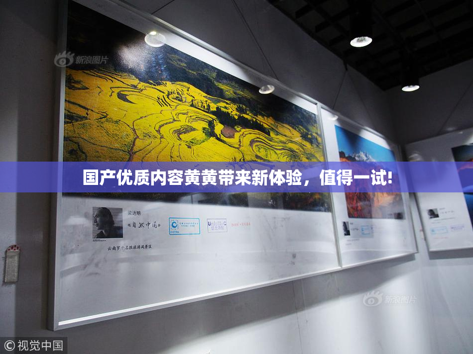国产优质内容黄黄带来新体验，值得一试!