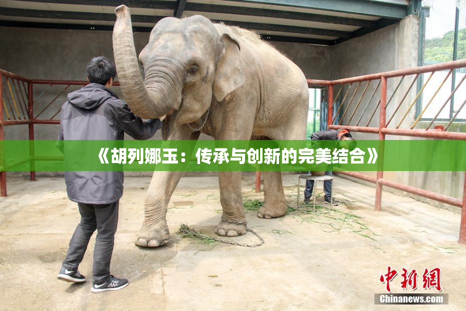 《胡列娜玉：传承与创新的完美结合》