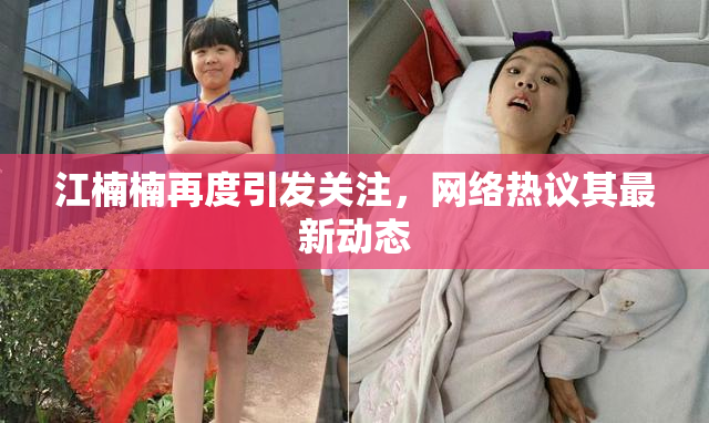 江楠楠再度引发关注，网络热议其最新动态