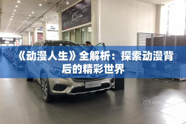 《动漫人生》全解析：探索动漫背后的精彩世界