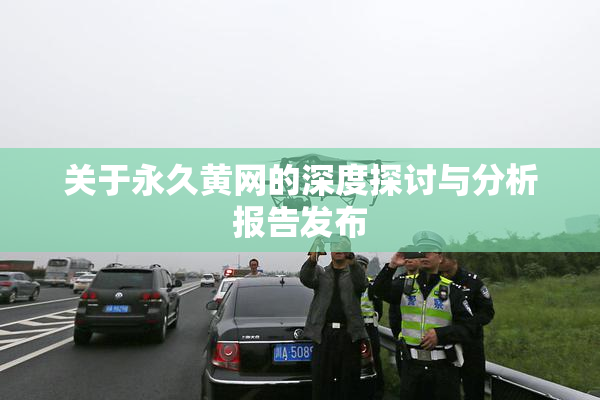 关于永久黄网的深度探讨与分析报告发布