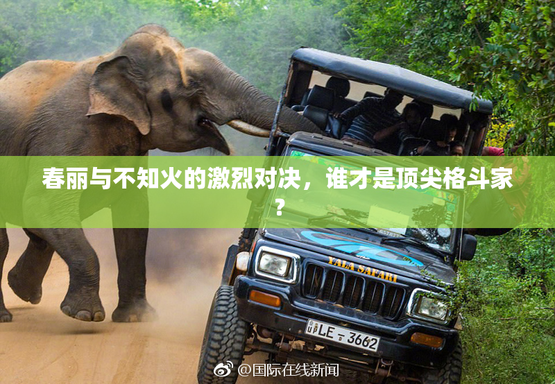 春丽与不知火的激烈对决，谁才是顶尖格斗家？