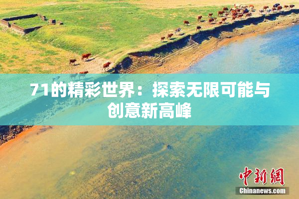 71的精彩世界：探索无限可能与创意新高峰