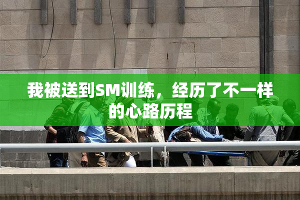 我被送到SM训练，经历了不一样的心路历程