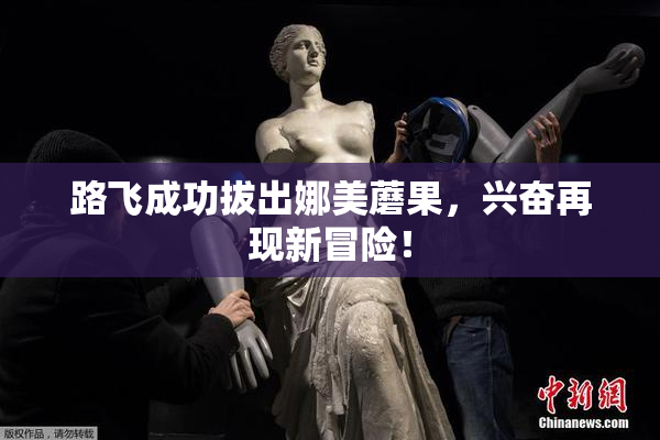 路飞成功拔出娜美蘑果，兴奋再现新冒险！