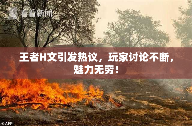 王者H文引发热议，玩家讨论不断，魅力无穷！