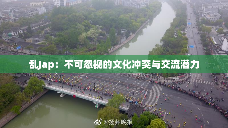 乱Jap：不可忽视的文化冲突与交流潜力