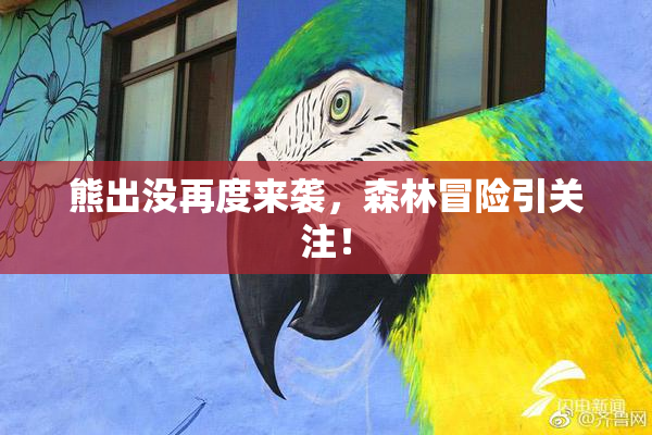 熊出没再度来袭，森林冒险引关注！