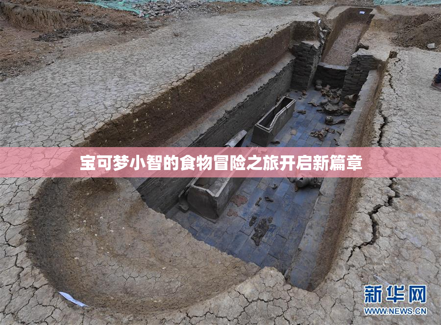 宝可梦小智的食物冒险之旅开启新篇章