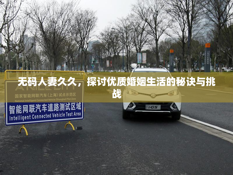 无码人妻久久，探讨优质婚姻生活的秘诀与挑战