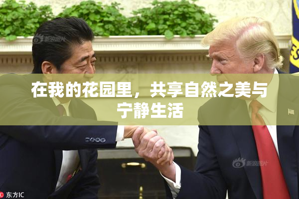 在我的花园里，共享自然之美与宁静生活