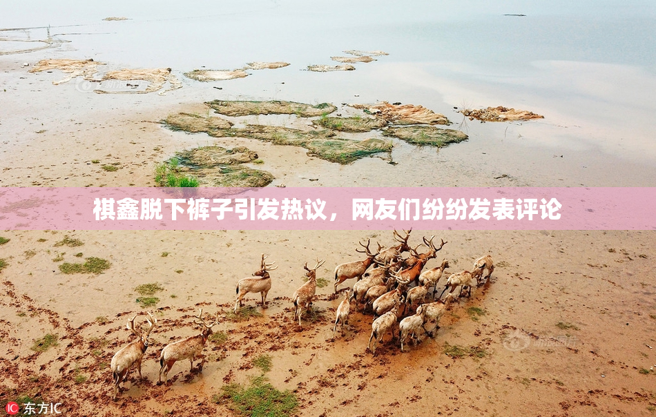祺鑫脱下裤子引发热议，网友们纷纷发表评论