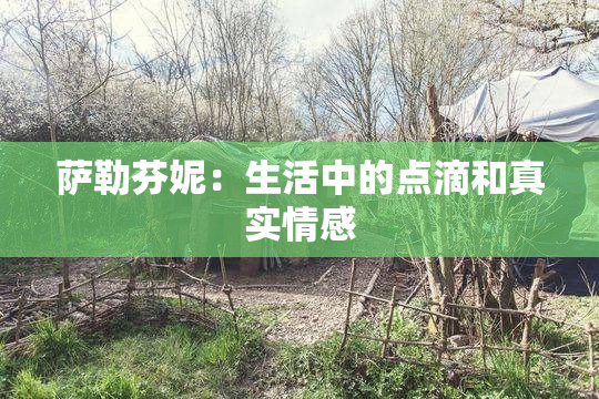 萨勒芬妮：生活中的点滴和真实情感