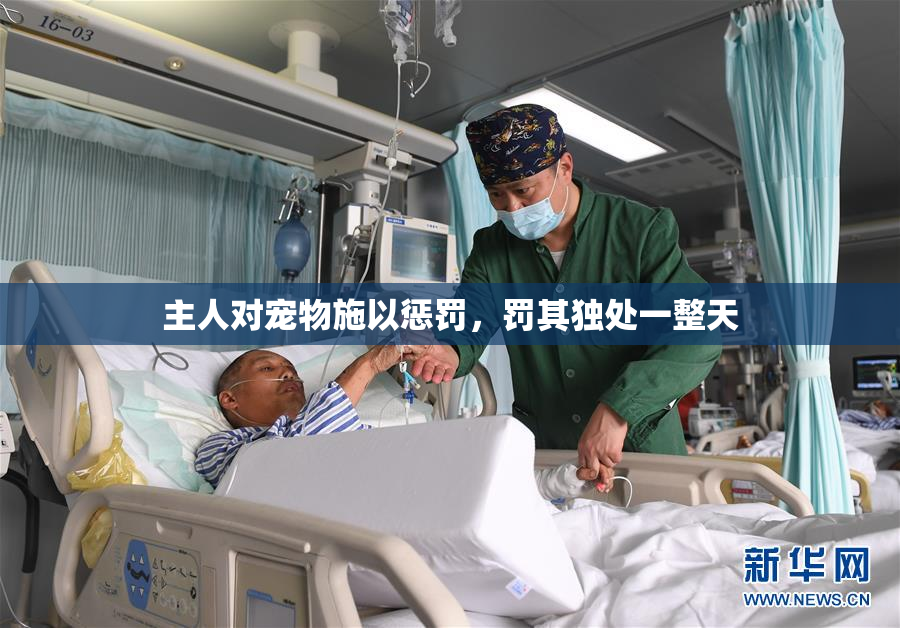 主人对宠物施以惩罚，罚其独处一整天