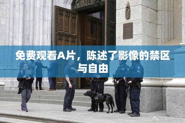 免费观看A片，陈述了影像的禁区与自由
