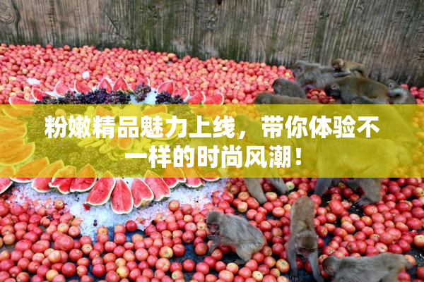 粉嫩精品魅力上线，带你体验不一样的时尚风潮！