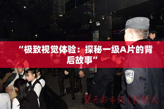 “极致视觉体验：探秘一级A片的背后故事”