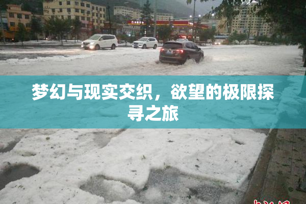 梦幻与现实交织，欲望的极限探寻之旅