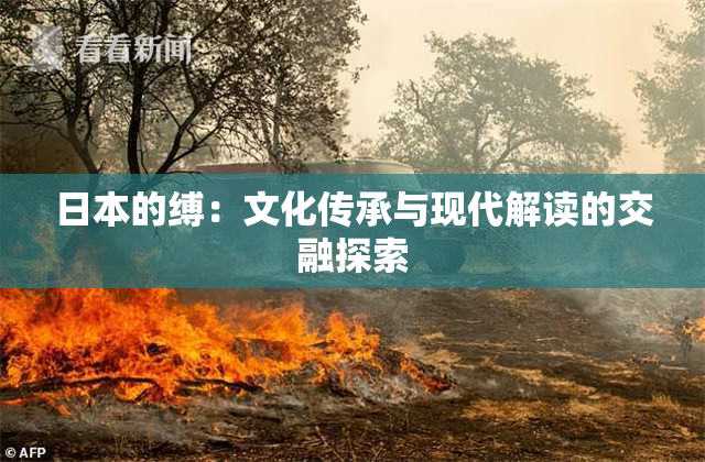 日本的缚：文化传承与现代解读的交融探索