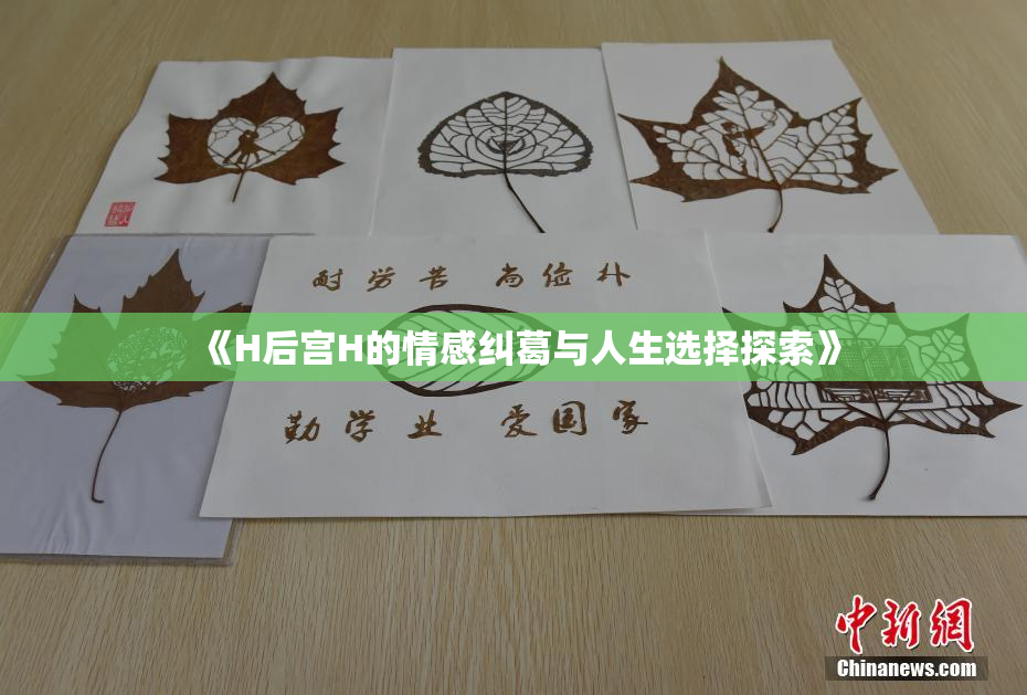 《H后宫H的情感纠葛与人生选择探索》