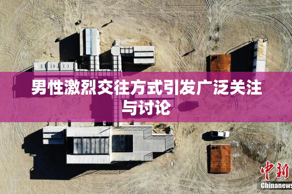 男性激烈交往方式引发广泛关注与讨论