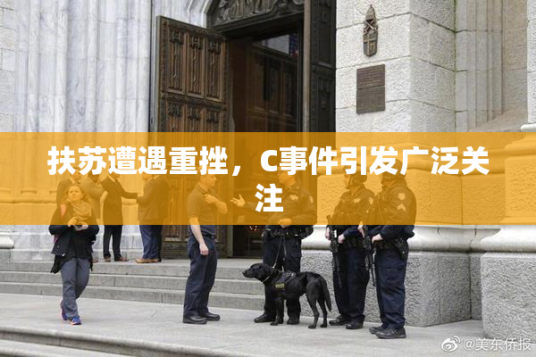 扶苏遭遇重挫，C事件引发广泛关注