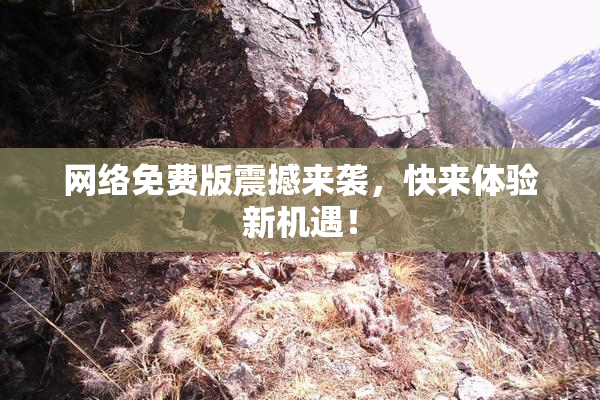 网络免费版震撼来袭，快来体验新机遇！