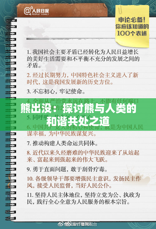 熊出没：探讨熊与人类的和谐共处之道