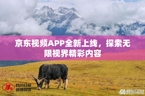 京东视频APP全新上线，探索无限视界精彩内容