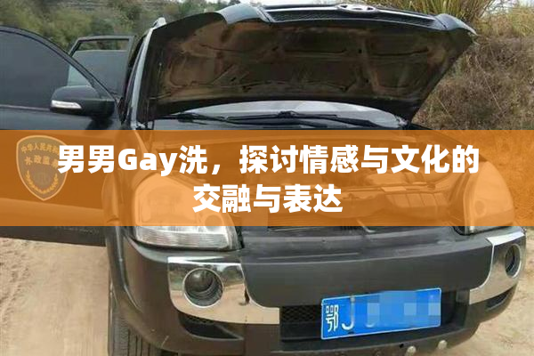男男Gay洗，探讨情感与文化的交融与表达