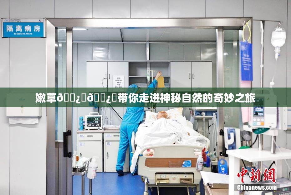 嫩草🌿‌🌿‌带你走进神秘自然的奇妙之旅