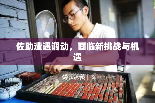 佐助遭遇调动，面临新挑战与机遇