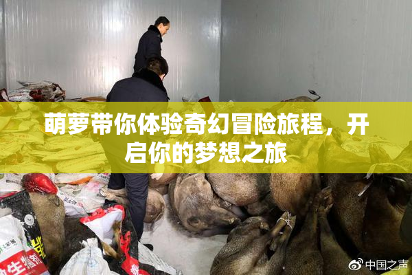 萌萝带你体验奇幻冒险旅程，开启你的梦想之旅