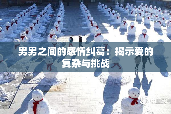 男男之间的感情纠葛：揭示爱的复杂与挑战