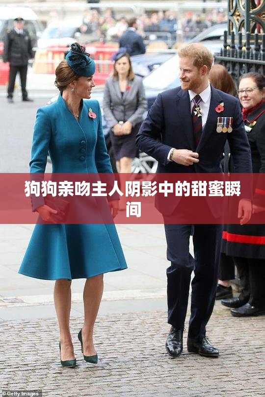 狗狗亲吻主人阴影中的甜蜜瞬间