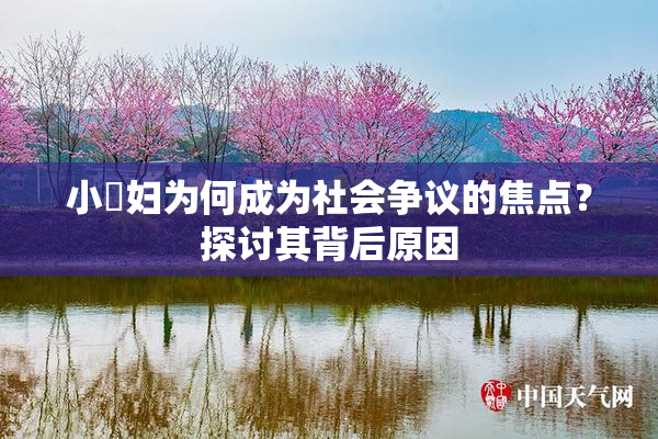 小婬妇为何成为社会争议的焦点？探讨其背后原因