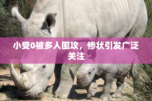 小受0被多人围攻，惨状引发广泛关注