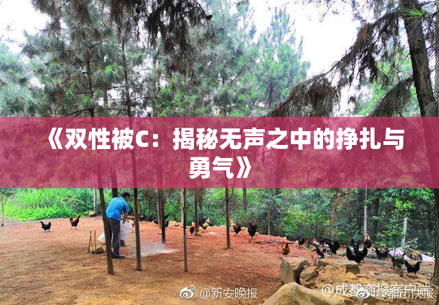 《双性被C：揭秘无声之中的挣扎与勇气》