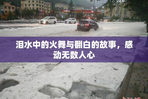 泪水中的火舞与翻白的故事，感动无数人心