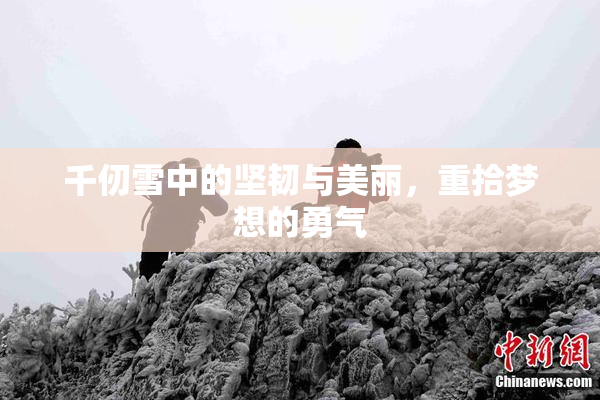 千仞雪中的坚韧与美丽，重拾梦想的勇气