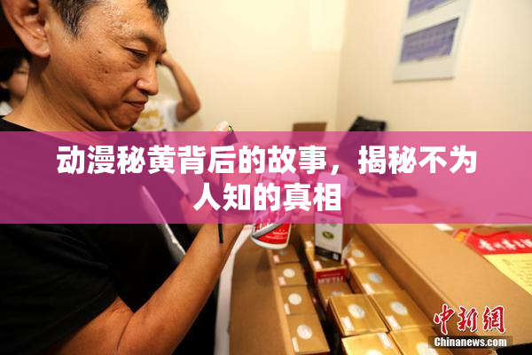 动漫秘黄背后的故事，揭秘不为人知的真相