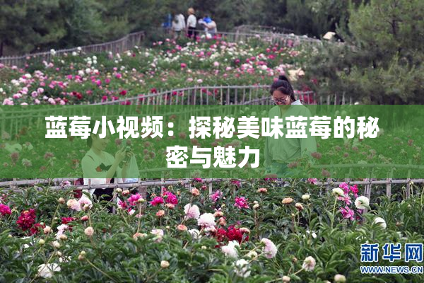 蓝莓小视频：探秘美味蓝莓的秘密与魅力