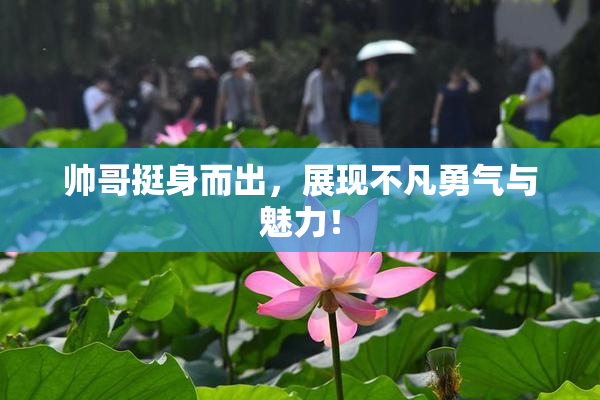 帅哥挺身而出，展现不凡勇气与魅力！