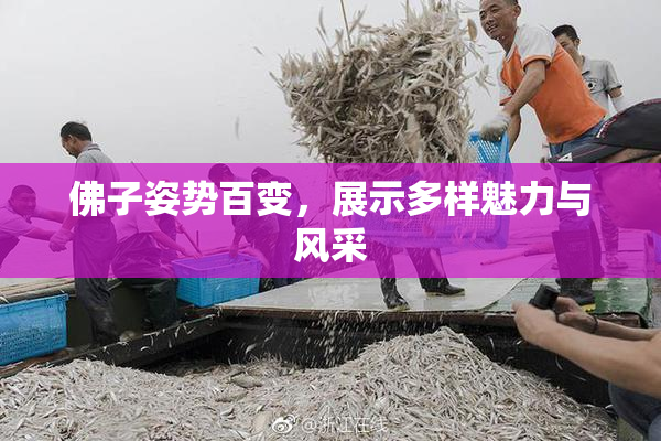 佛子姿势百变，展示多样魅力与风采